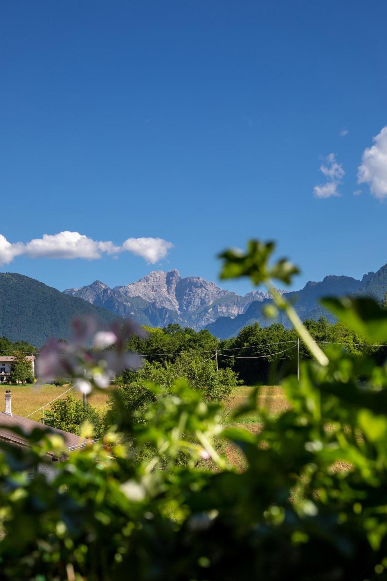 Hotel Ristorante Sagittario Feltre Dış mekan fotoğraf